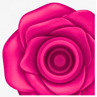 Pro 2 Classic Blossom - Rosa intenso